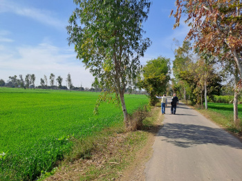  Agricultural Land for Sale in Phagwara Road, Hoshiarpur
