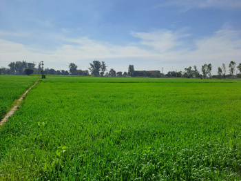  Agricultural Land for Sale in Una Road, Hoshiarpur