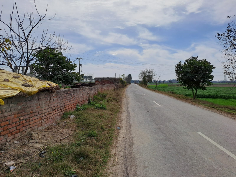 Agricultural Land 7 Acre for Sale in Garhshanker, Hoshiarpur