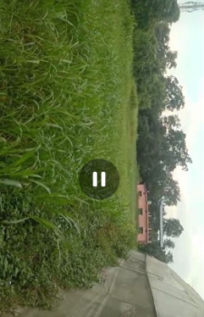  Residential Plot for Sale in Vikas Nagar, Dehradun