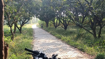  Agricultural Land for Sale in Vikas Nagar, Dehradun