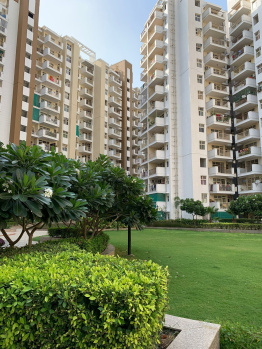 3 BHK Flat for Sale in Sector 33 Bhiwadi