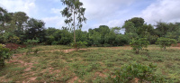  Agricultural Land for Sale in Andimadam, Ariyalur