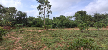  Agricultural Land for Sale in Andimadam, Ariyalur