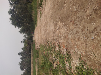  Residential Plot for Sale in Khariberia, Kolkata