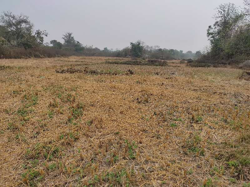Agricultural Land 3 Ares for Sale in