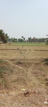  Agricultural Land for Sale in Dumrama, Bhagalpur