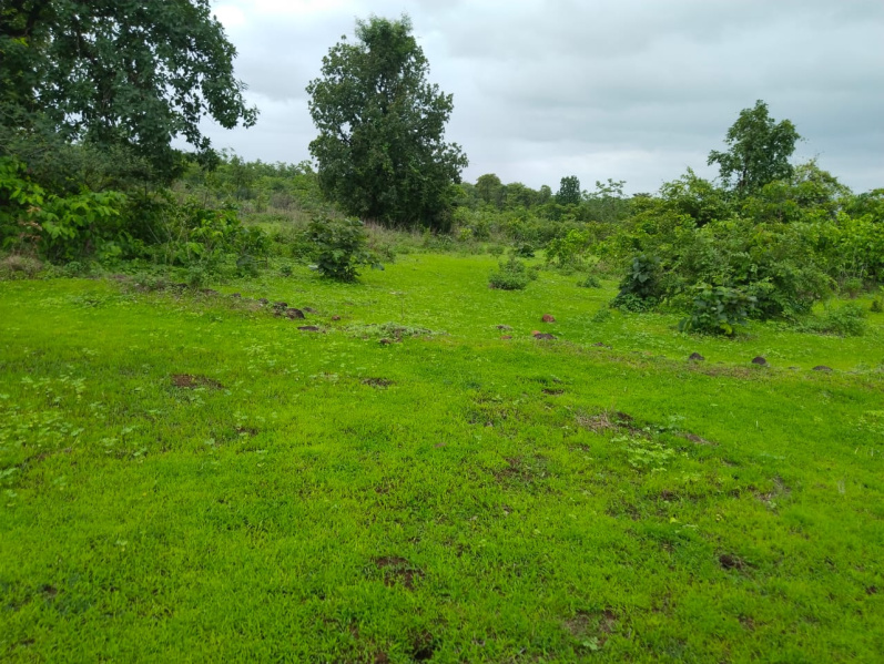  Agricultural Land 1 Acre for Sale in Murbad, Thane