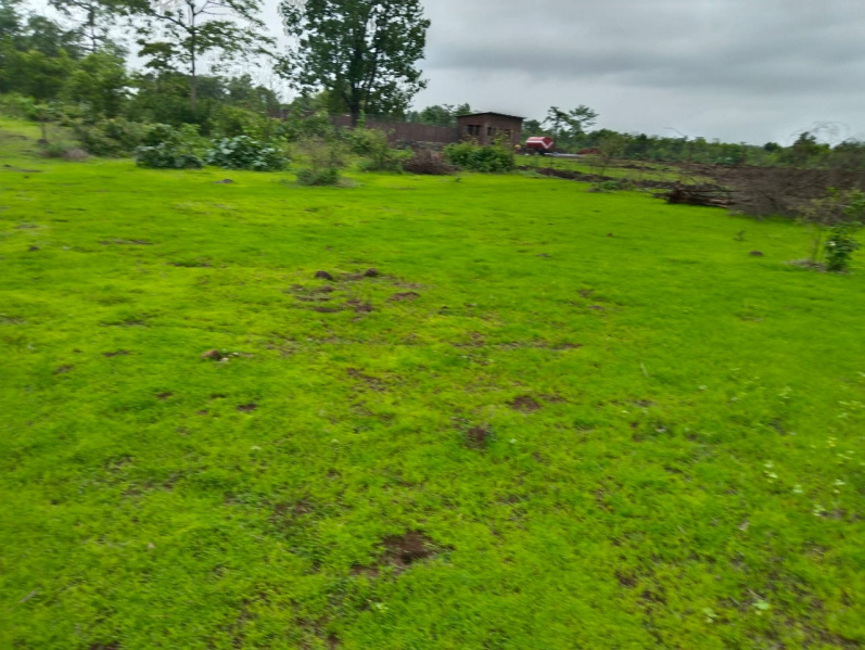  Agricultural Land 1 Acre for Sale in Murbad, Thane