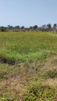  Agricultural Land for Sale in Ratanpur Road, Bilaspur