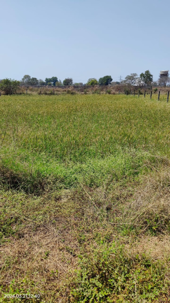  Agricultural Land 6000 Sq.ft. for Sale in Ratanpur Road, Bilaspur