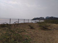  Agricultural Land for Sale in Vagra, Bharuch