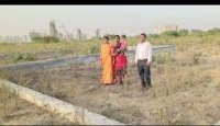  Residential Plot for Sale in Jewar, Gautam Buddha Nagar