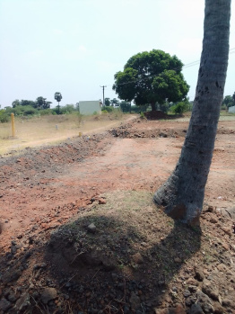  Commercial Land for Sale in Arani, Tiruvannamalai