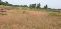 Agricultural Land for Sale in Hosdurga, Chitradurga