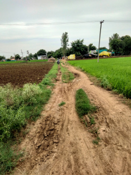  Agricultural Land for Sale in Parkal, Warangal