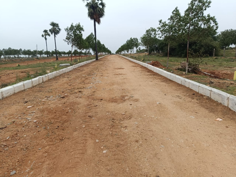  Residential Plot 150 Sq. Yards for Sale in Chotuppal, Hyderabad