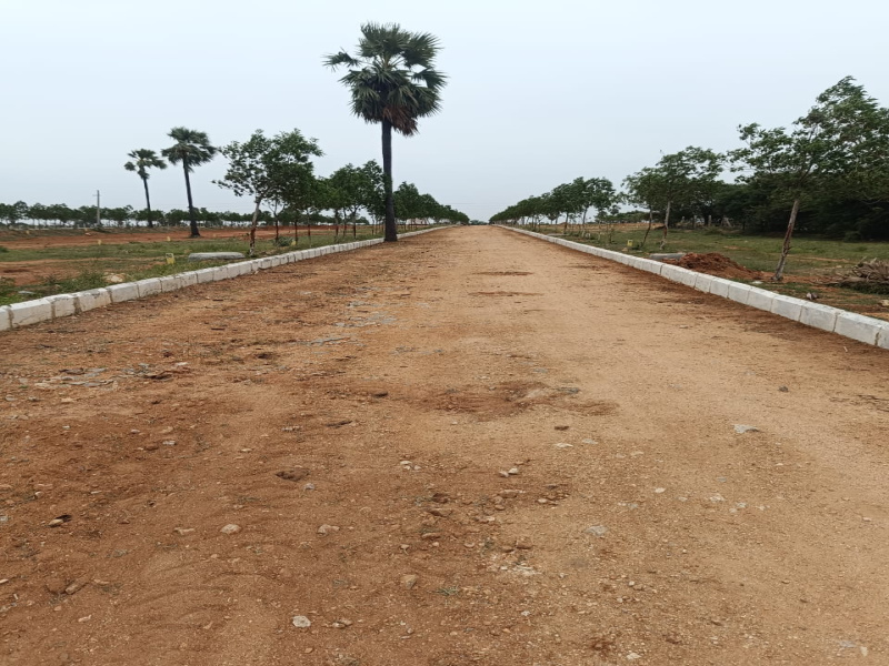  Residential Plot 150 Sq. Yards for Sale in Chotuppal, Hyderabad