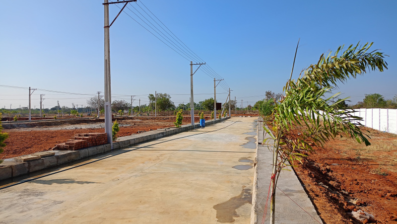  Residential Plot 150 Sq. Yards for Sale in Kandi, Sangareddy