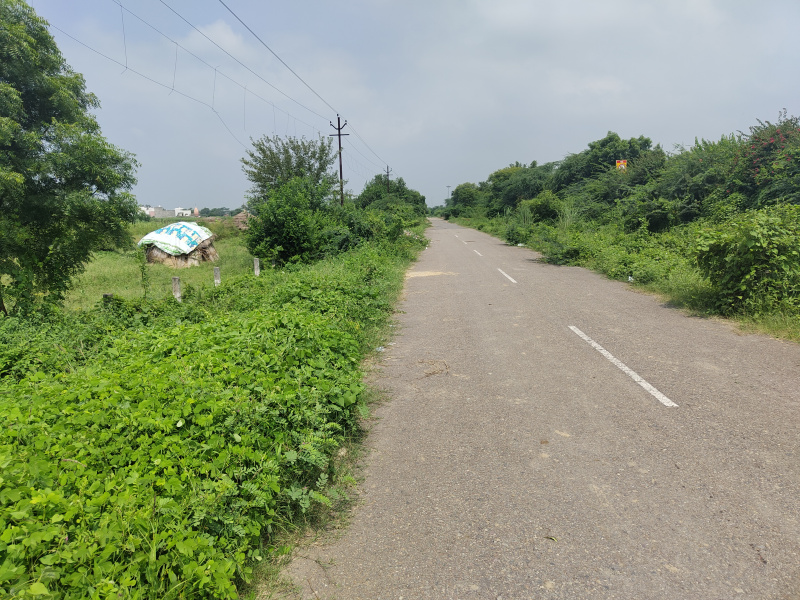  Agricultural Land 40 Bigha for Sale in Gabhana, Aligarh