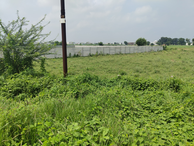  Agricultural Land 40 Bigha for Sale in Gabhana, Aligarh