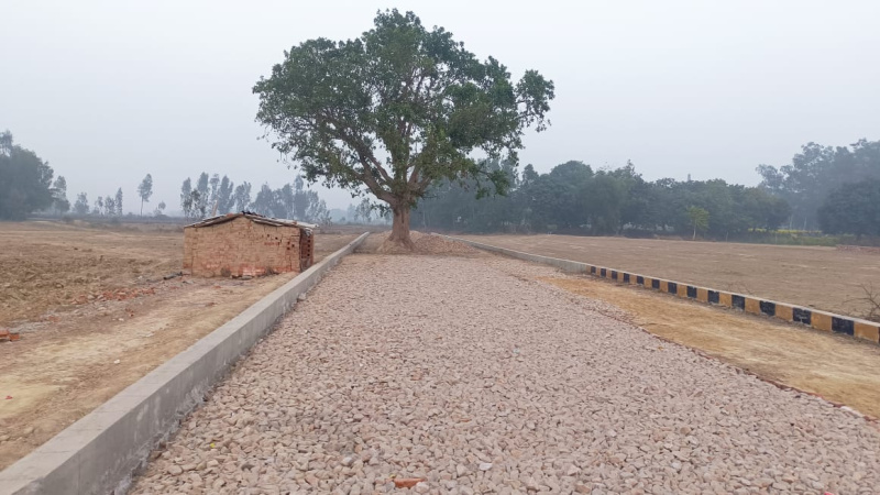  Residential Plot 1500 Sq.ft. for Sale in New Jail Road, Lucknow