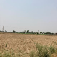  Agricultural Land for Sale in Sector 59 Gurgaon