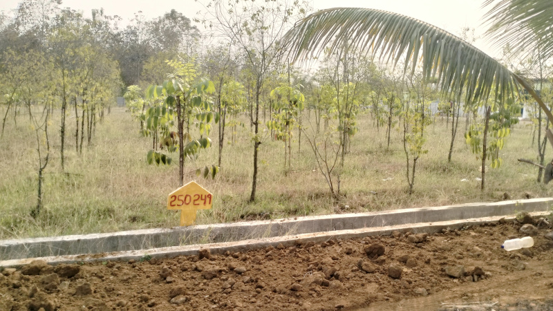  300 Sq. Yards Residential Plot for Sale in Bobbili, Vizianagaram