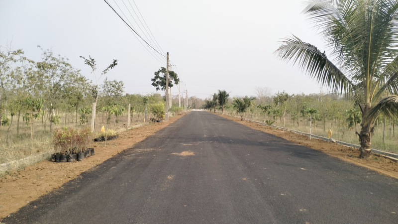  300 Sq. Yards Residential Plot for Sale in Bobbili, Vizianagaram