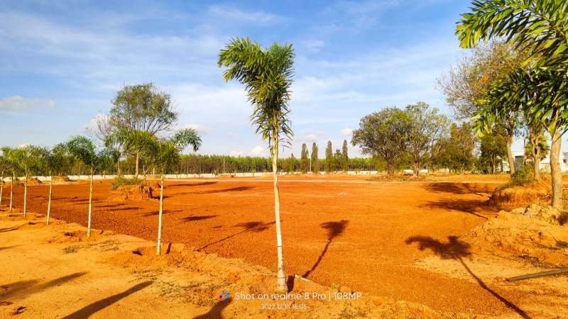 Agricultural Land 2727 Sq.ft. for Sale in