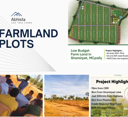  Agricultural Land 303 Sq. Yards for Sale in Shamirpet, Rangareddy