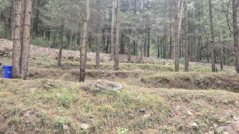  Residential Plot for Sale in Dhanaulti, Tehri Garhwal