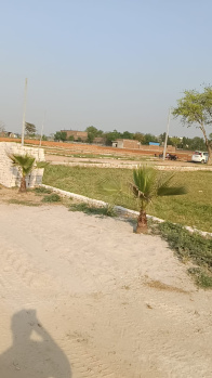  Residential Plot for Sale in Jhajhar, Gautam Buddha Nagar