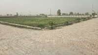  Residential Plot for Sale in Jhajhar, Gautam Buddha Nagar