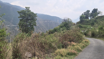  Residential Plot for Sale in Dhanaulti, Tehri Garhwal