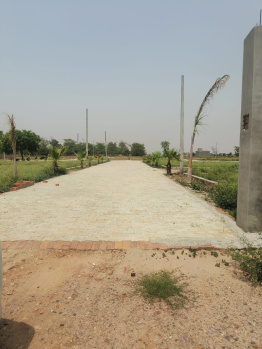  Residential Plot for Sale in Jhajhar, Gautam Buddha Nagar
