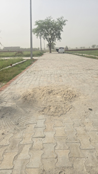  Residential Plot for Sale in Jhajhar, Gautam Buddha Nagar