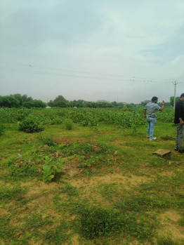  Residential Plot for Sale in Khatu, Sikar