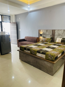 1 RK Flat for Rent in DLF Phase III, Gurgaon
