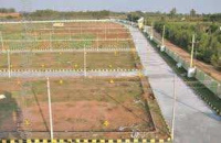  Residential Plot for Sale in Sector 28 Gurgaon