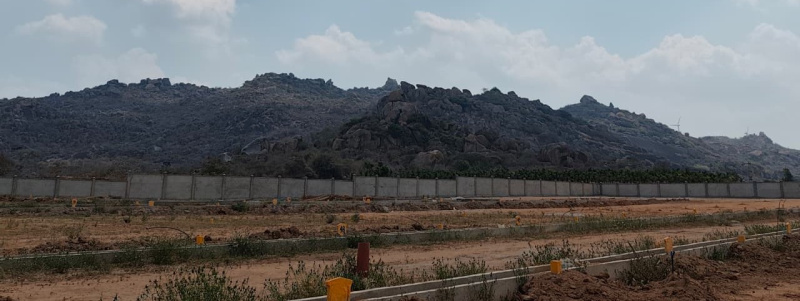  1200 Sq.ft. Residential Plot for Sale in Chickpet, Chitradurga