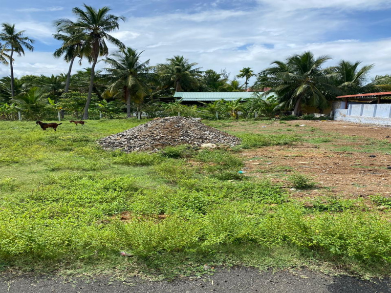  Residential Plot 5 Cent for Sale in Nagercoil, Kanyakumari