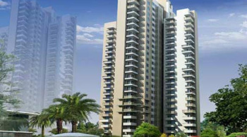 2 BHK Flat for Sale in Sector 22 Gurgaon