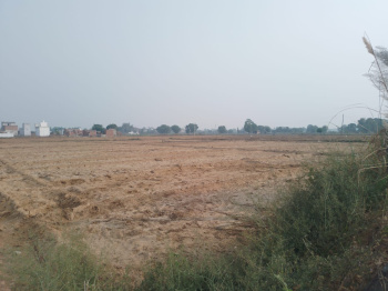  Agricultural Land for Sale in Farrukhnagar, Gurgaon