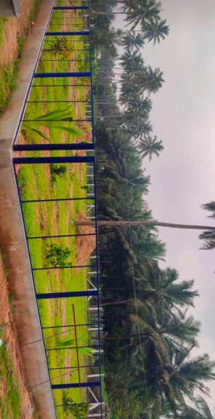  Agricultural Land 8000 Sq.ft. for Sale in Othakalmandapam, Coimbatore