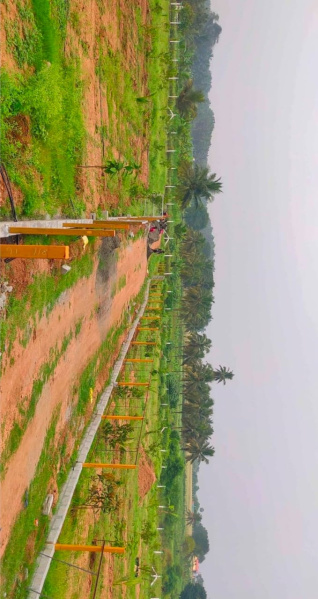  Agricultural Land 8000 Sq.ft. for Sale in Othakalmandapam, Coimbatore