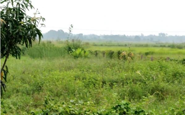  400 Bigha Residential Plot for Sale in Banskopa, Durgapur