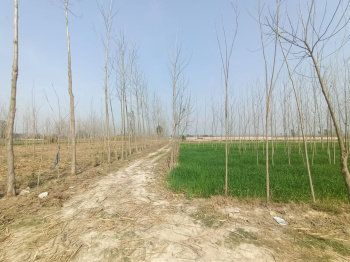  Industrial Land for Sale in Biharigarh, Dehradun