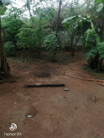  Residential Plot for Sale in Thiruvaiyaru, Thanjavur