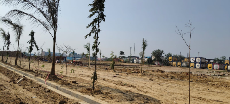  100 Acre Agricultural/Farm Land for Sale in Bilaspur, Gurgaon